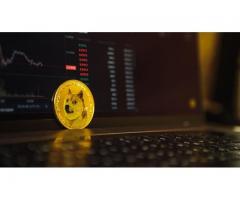 A famous presenter explains why you have to be careful with dogecoin
