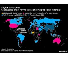 IMF says countries have differences in digital currency development