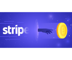 Stripe returns to Bitcoin after partnership with FTX