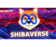Shiba Inu - details about the Shibaverse