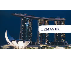 Temasek from Singapore gets involved with FTX in a liquidity crisis