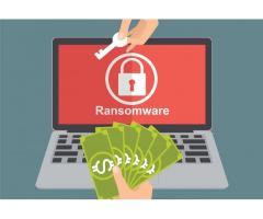 US Sen. Warren Introduces Bill to Study Cryptocurrency's Role in Ransomware